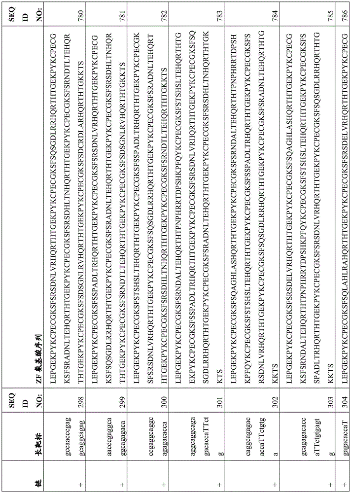 Figure BDA0003935065550000701