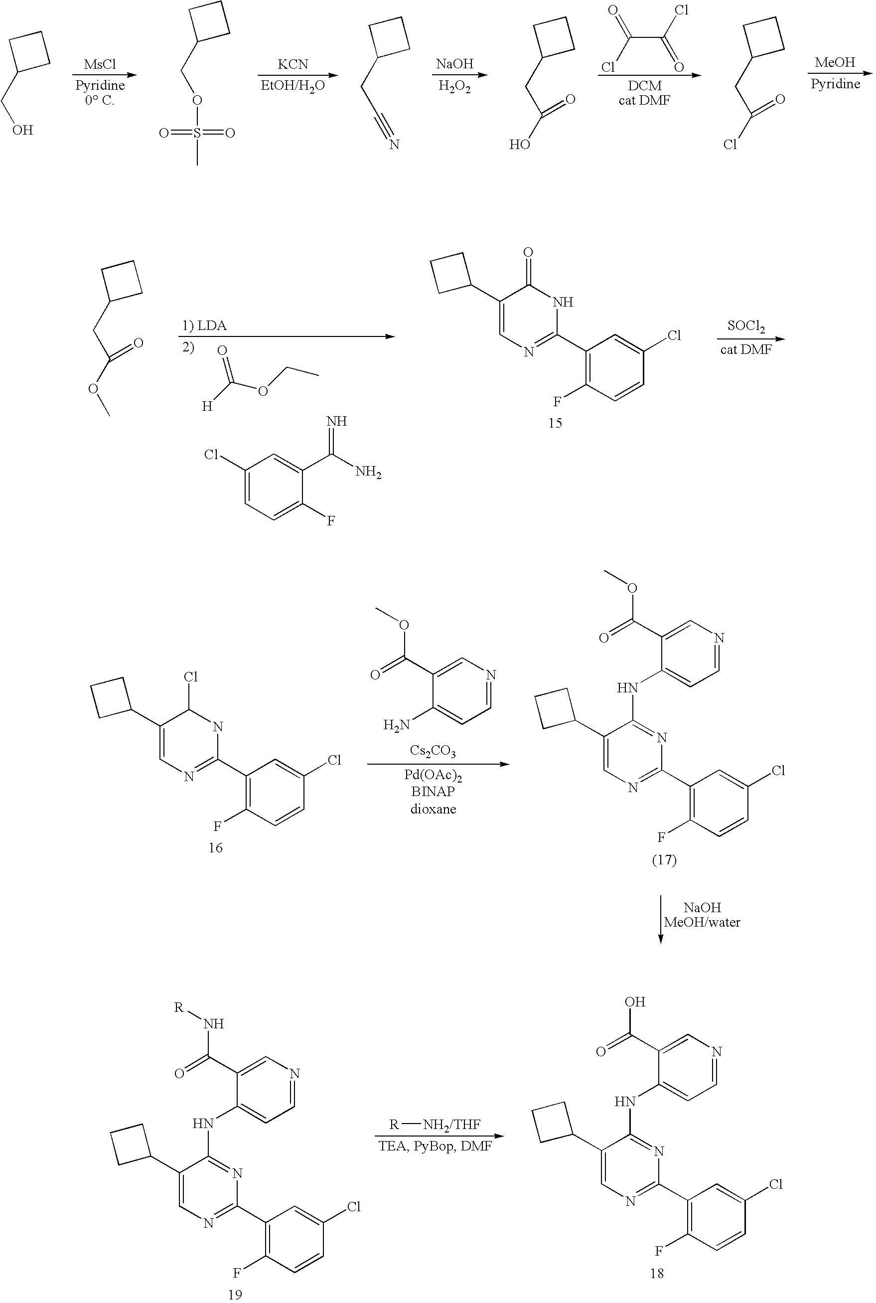 Figure US20090247523A1-20091001-C00034