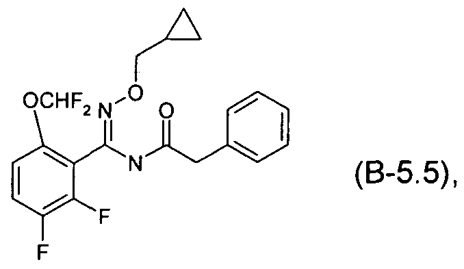 Figure imgf000004_0005