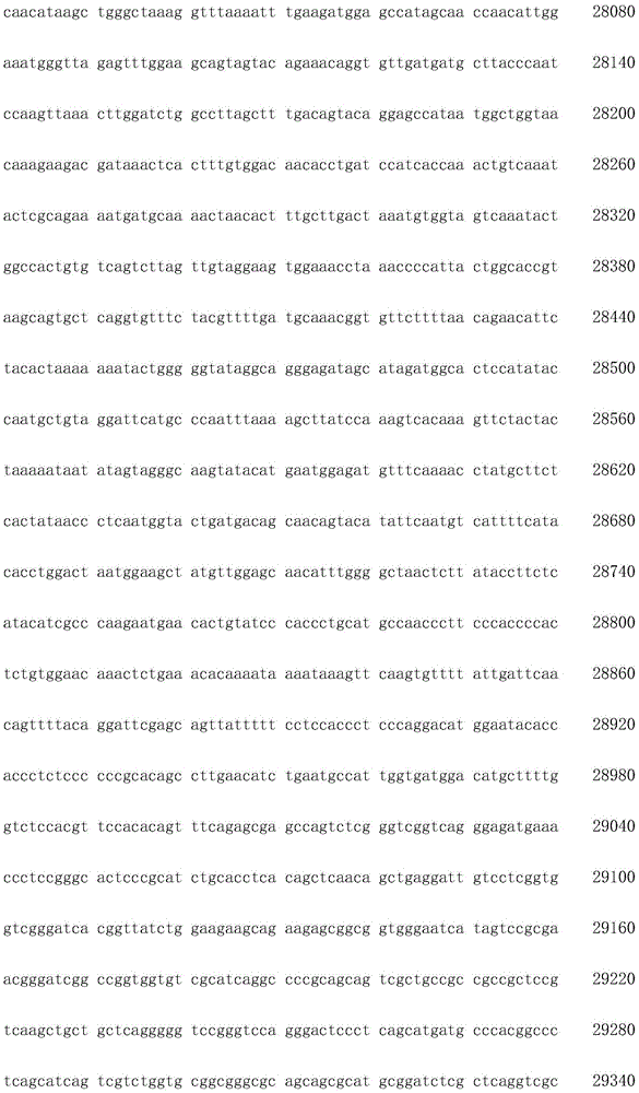 Figure IDA0002872168960001531