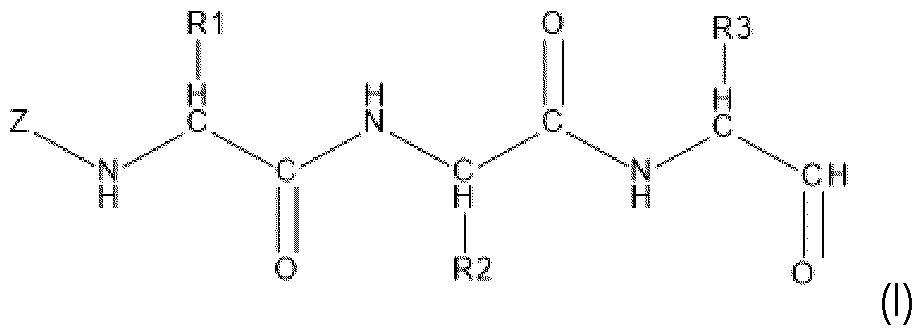Figure imgf000011_0001
