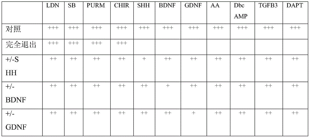 Figure RE-GDA0002236586560001363