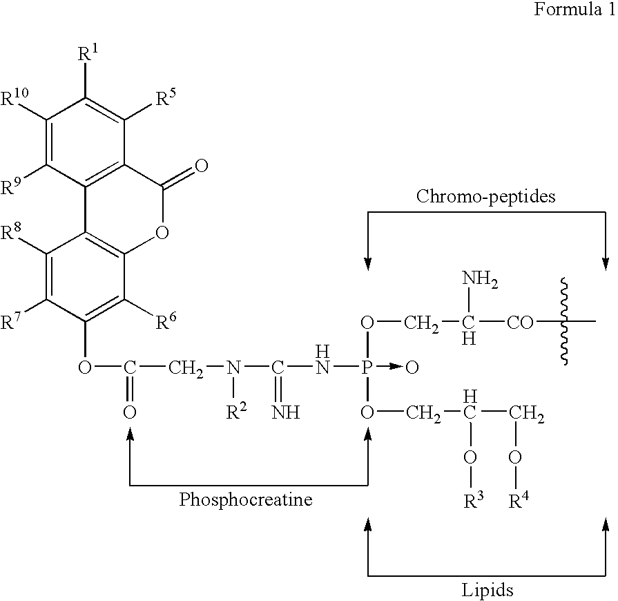 Figure US20050245434A1-20051103-C00002