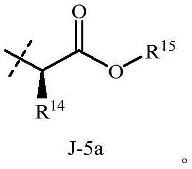 Figure BDA0002715387360000072