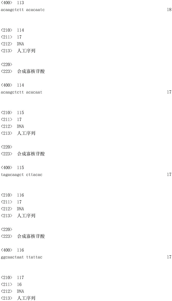 Figure IDA0003936212790001901