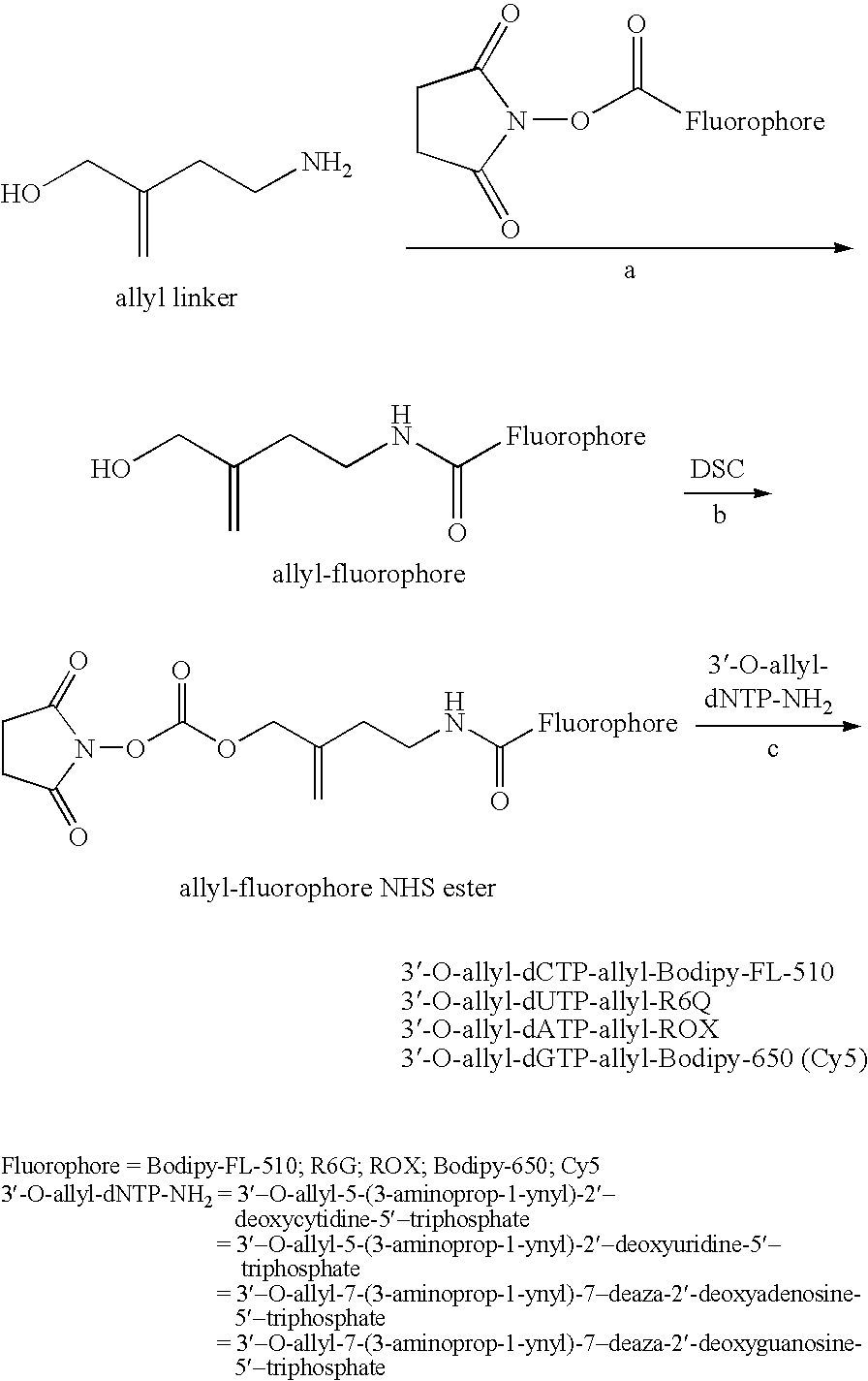 Figure US20100092952A1-20100415-C00001