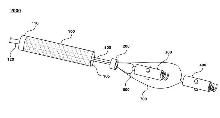 Figure R1020200119255