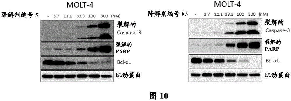 Figure BDA0003293294510002101