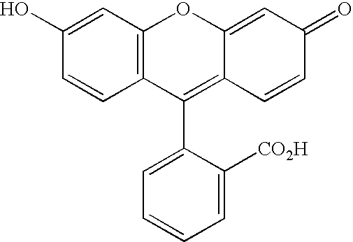 Figure US20070154927A1-20070705-C00032