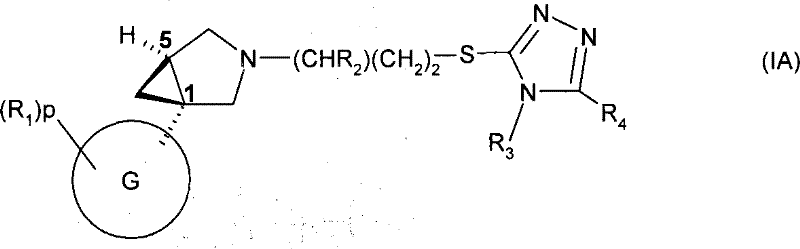 Figure S05812615520061025D000032