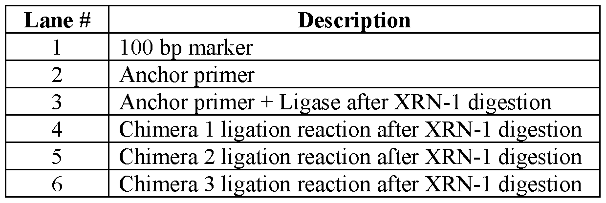 Figure imgf000060_0002
