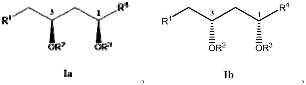 Figure BDA0002654936970000024