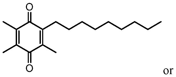 Figure imgf000004_0001