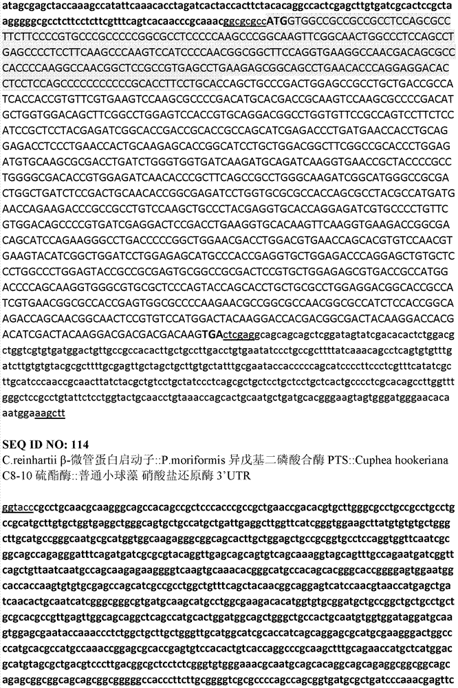 Figure IDA0000099690960000581