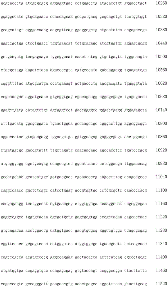 Figure IDA0002872168960001891