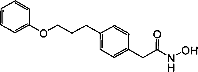 Figure G2007800515415D01252