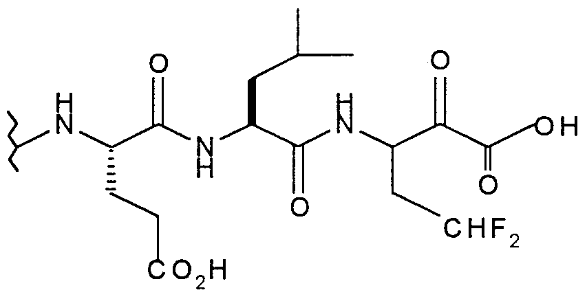 Figure imgf000023_0001