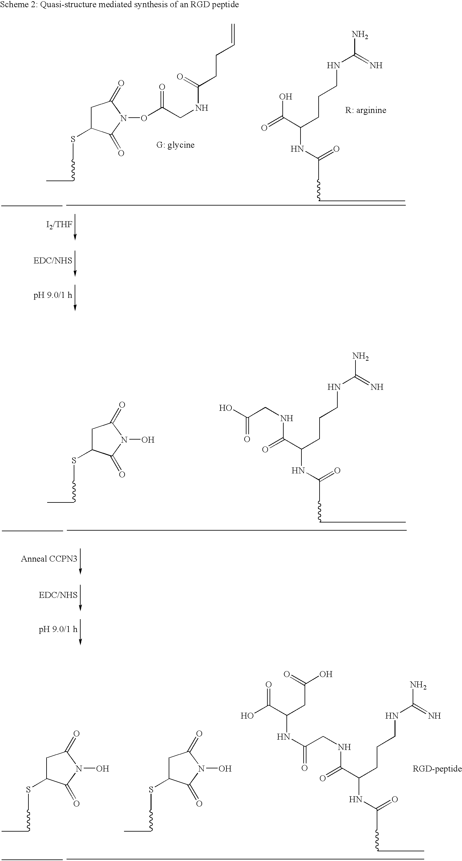 Figure US20080193983A1-20080814-C00016