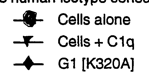 Figure imgf000018_0008