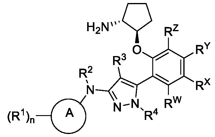 Figure imgf000005_0001