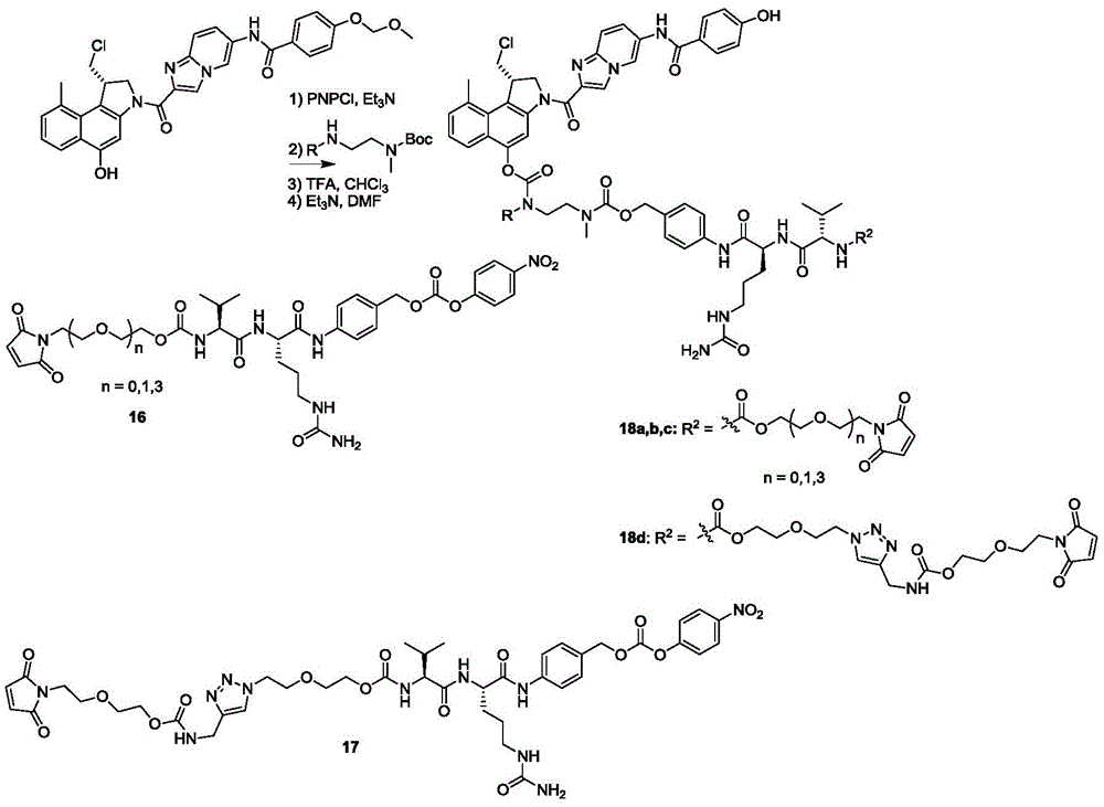 Figure GDA0002483706190002471