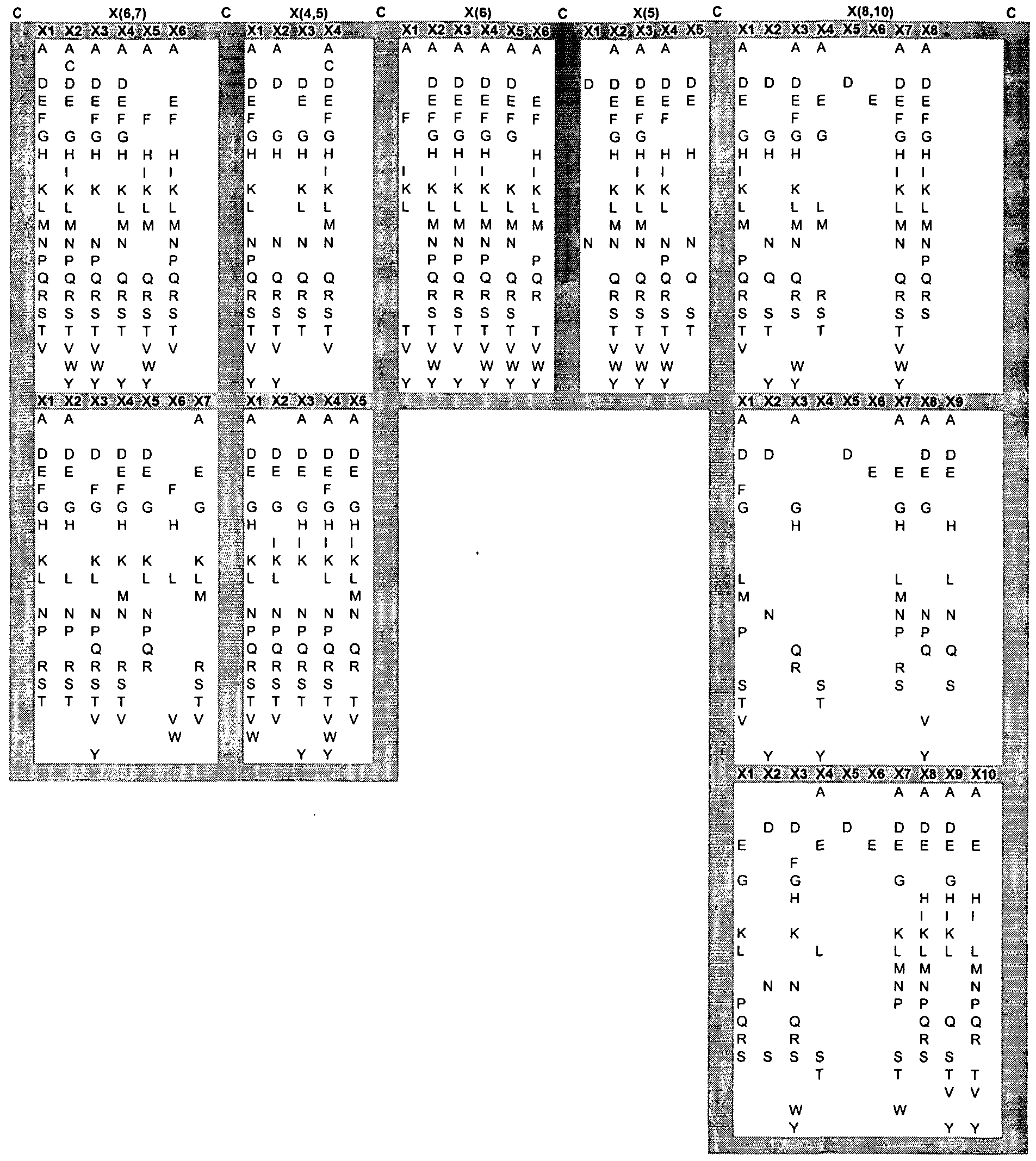 Figure imgf000013_0001