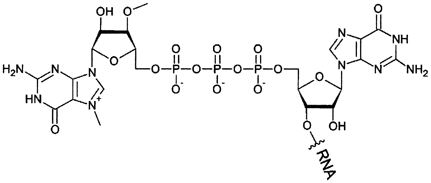 Figure imgf000137_0003