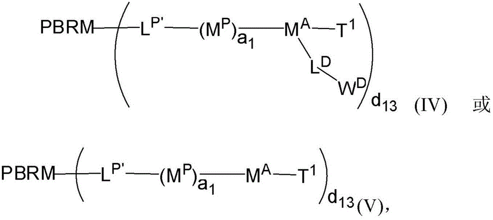 Figure FDA0003135424420000041