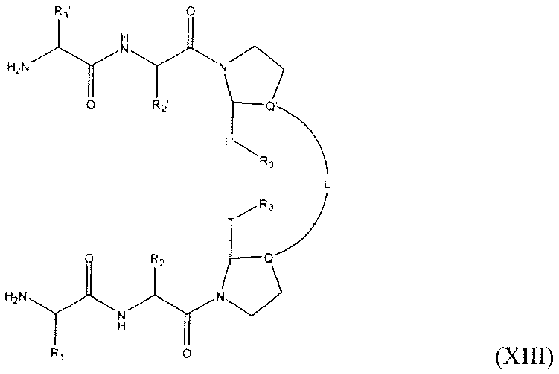 Figure imgf000013_0002