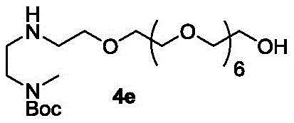 Figure GDA0002483706190002402