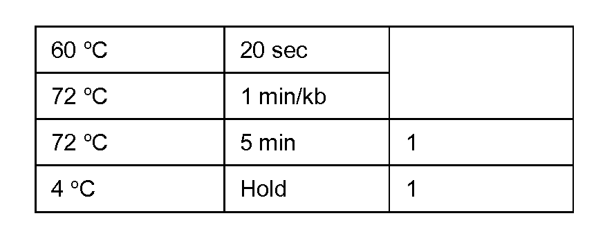 Figure imgf000057_0001
