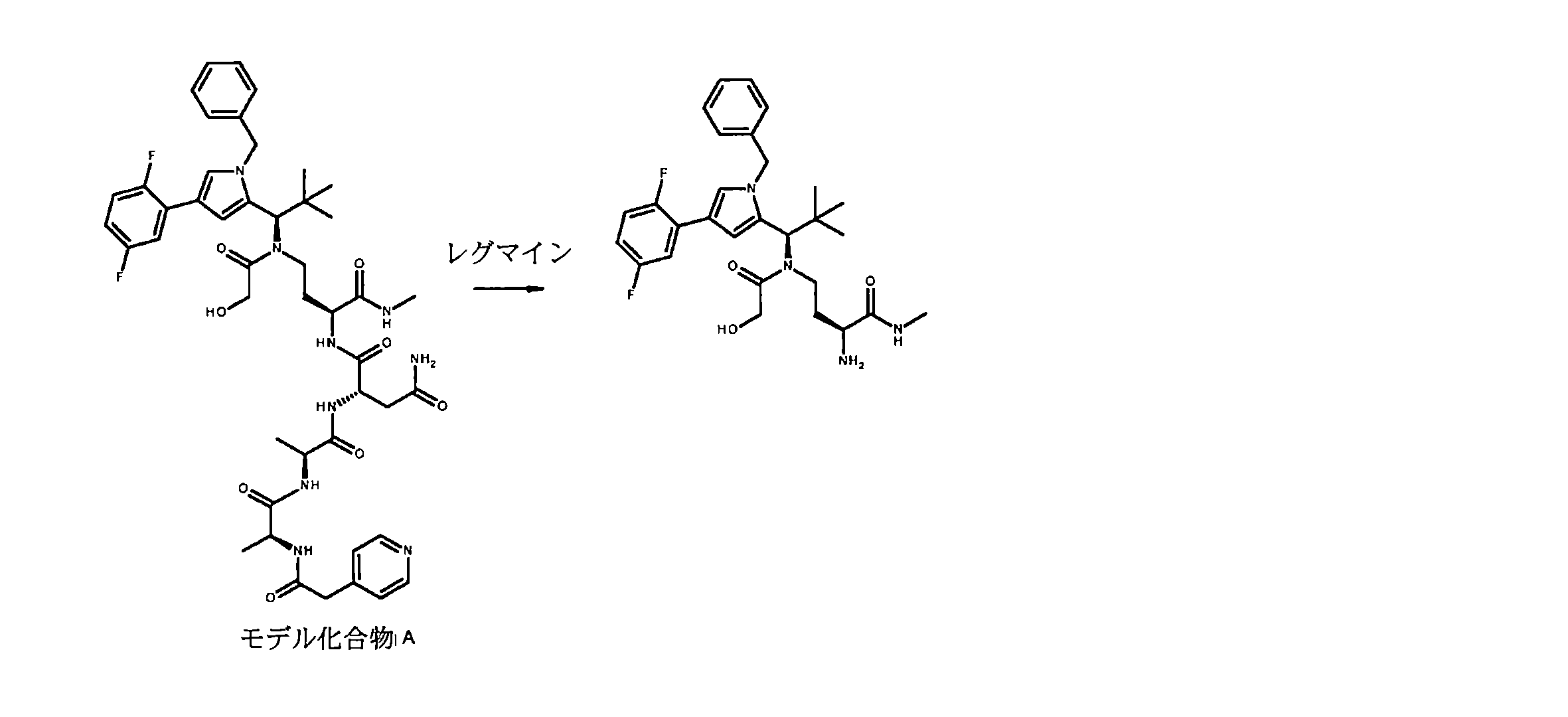 Figure 2022093432000081