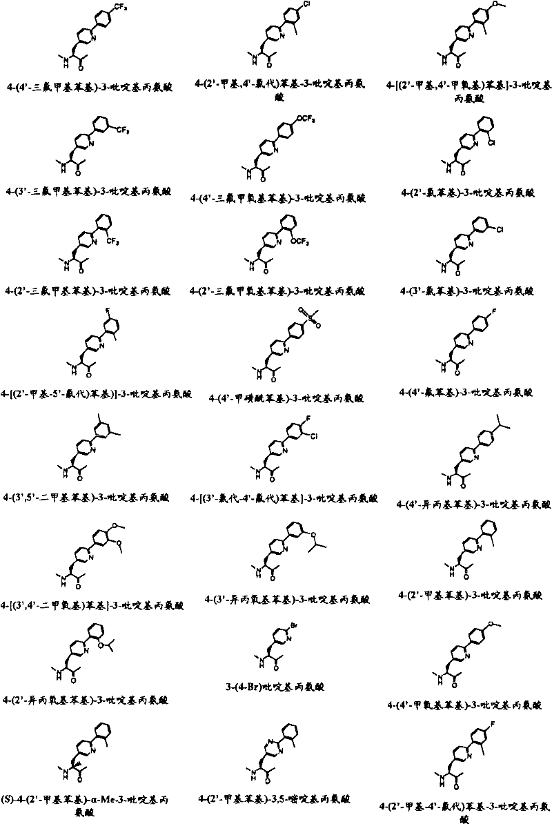 Figure B2005800295435D00971