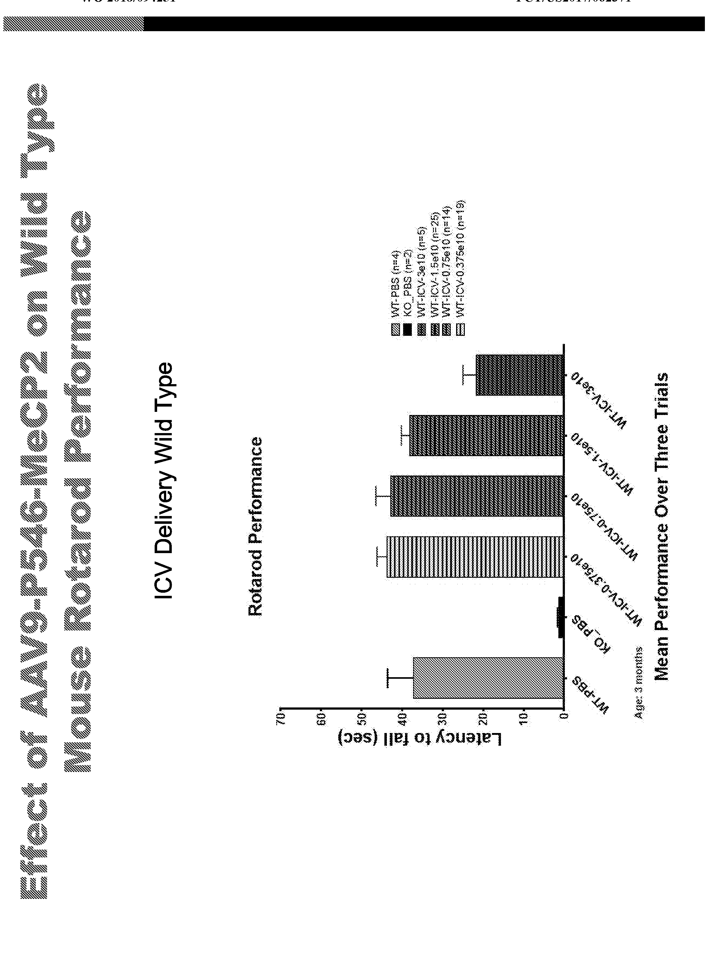 Figure imgf000052_0001