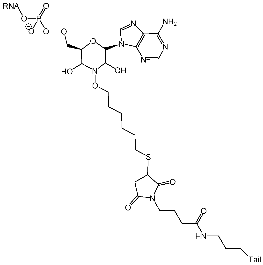 Figure imgf000128_0001