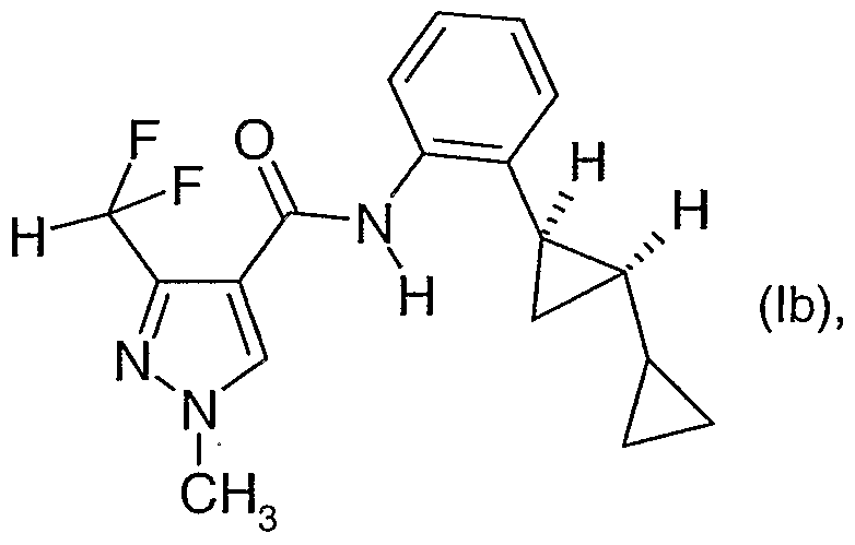 Figure imgf000005_0002