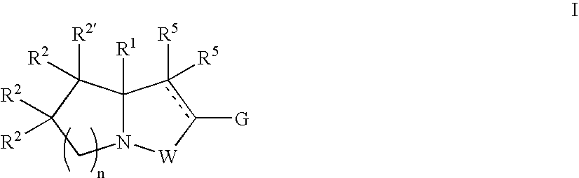 Figure US07388027-20080617-C00002