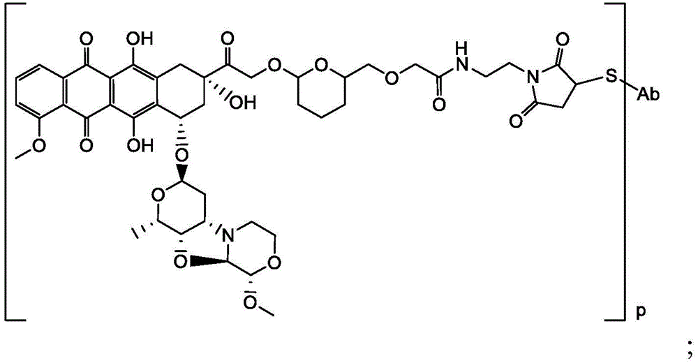 Figure BDA0003169464670000323