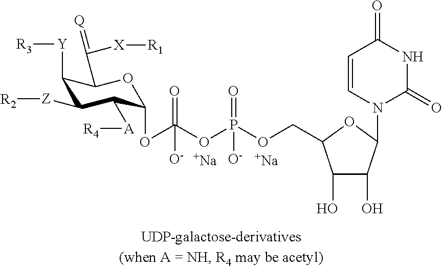 Figure US20130344050A1-20131226-C00070