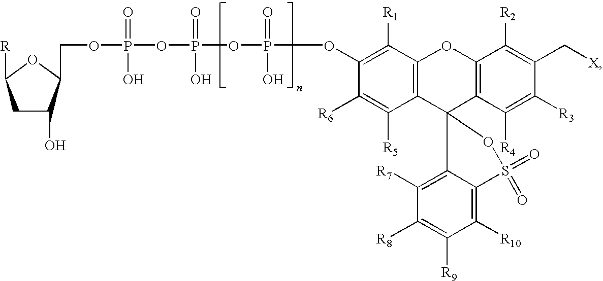 Figure US20100036110A1-20100211-C00013