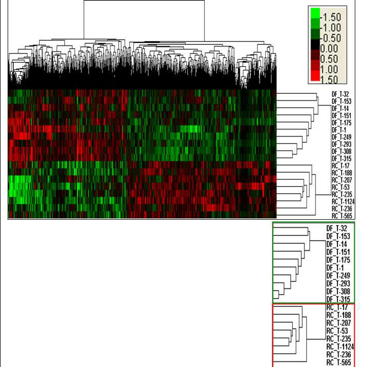 Figure R1020070109636