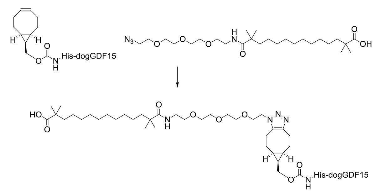 Figure 2022095757000141