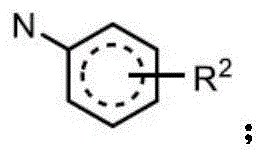 Figure FDA0003101608290000072