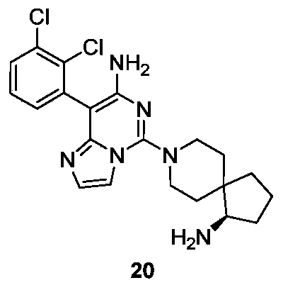 Figure PCTCN2019121844-appb-000060