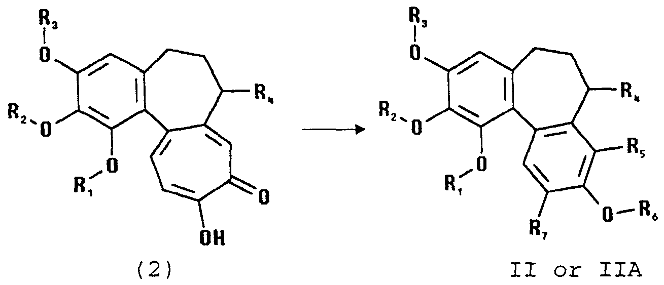 Figure imgf000010_0001