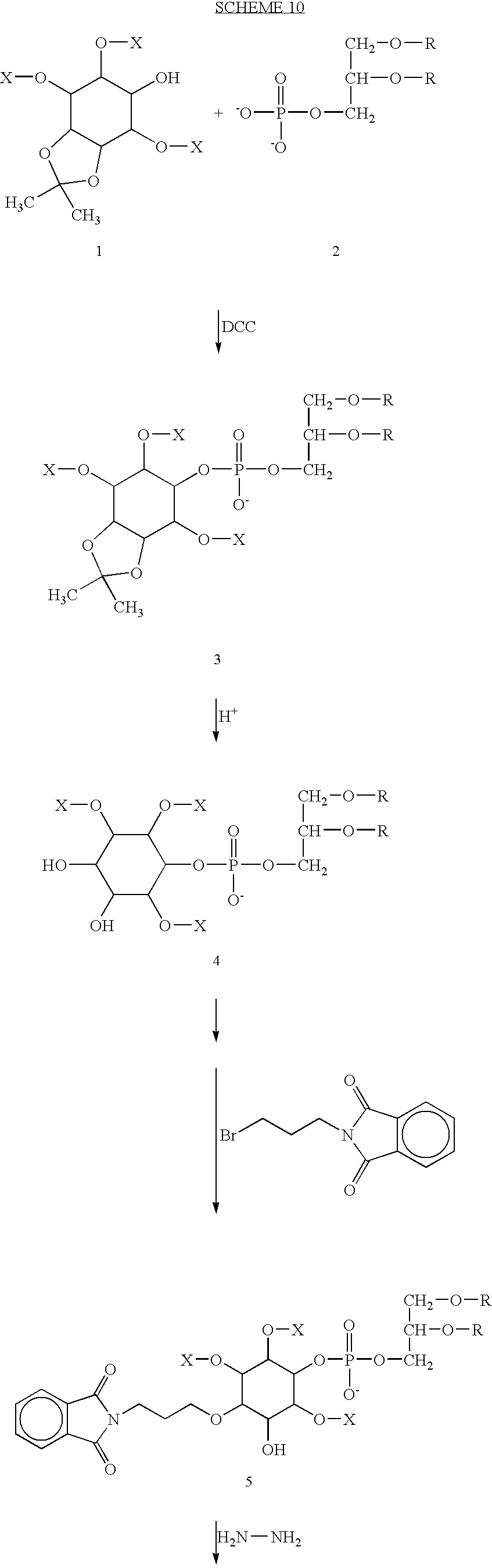 Figure US07687070-20100330-C00036