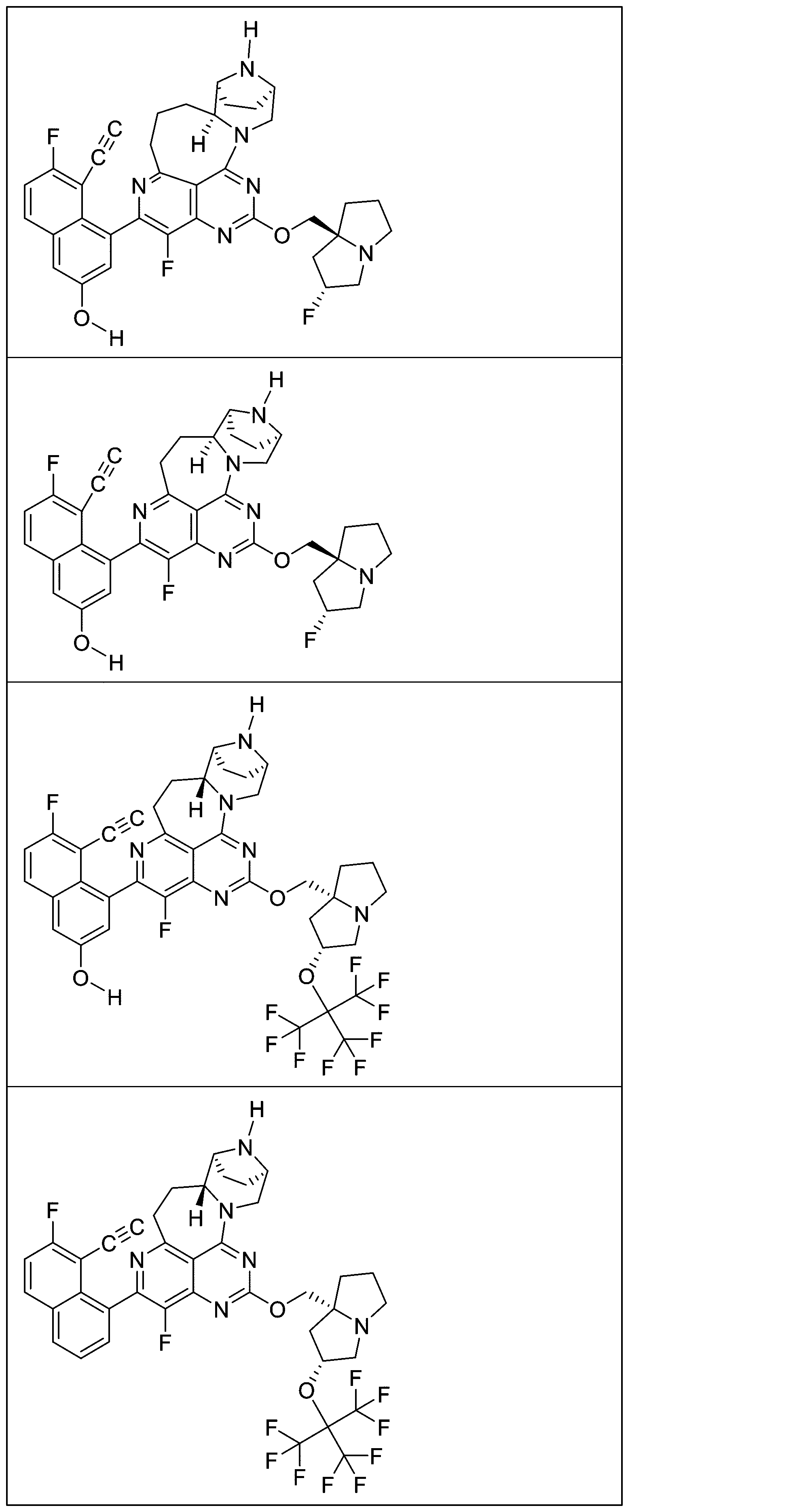 Figure 2025513258000976