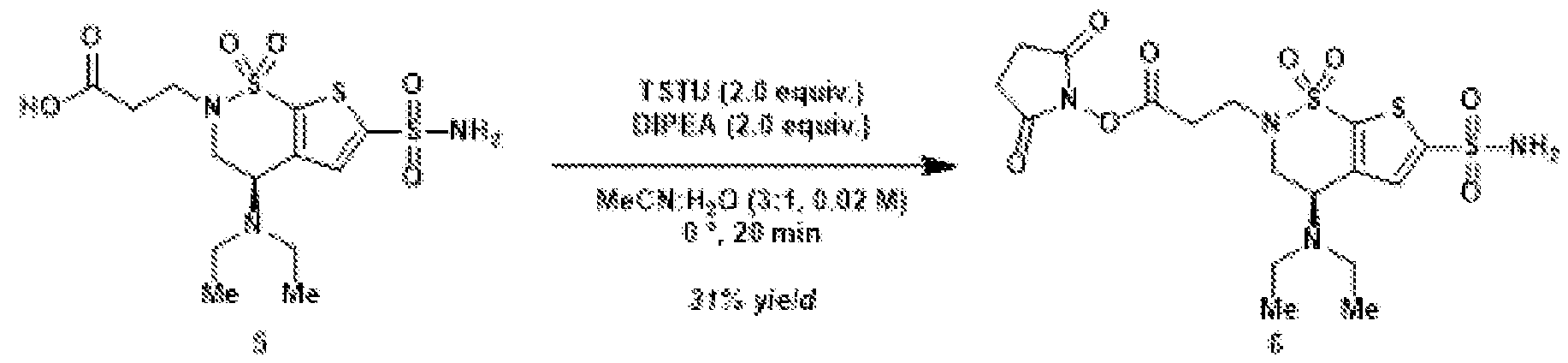 Figure imgf000021_0001