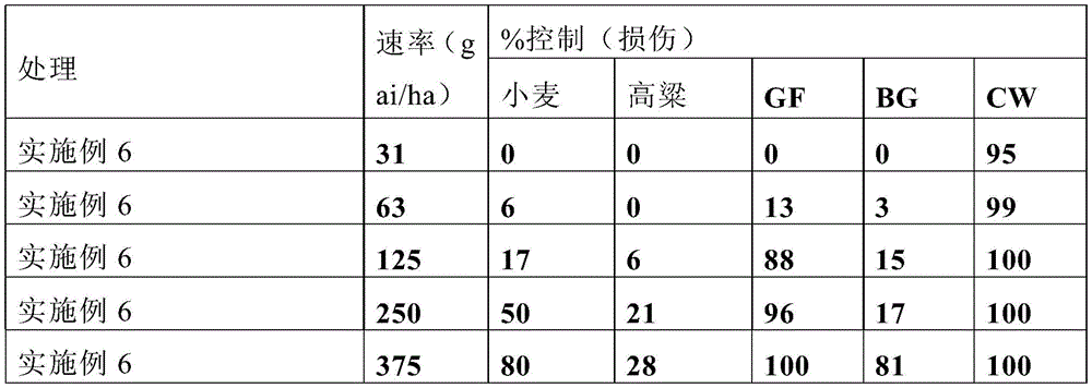 Figure GDA0003414807900000581
