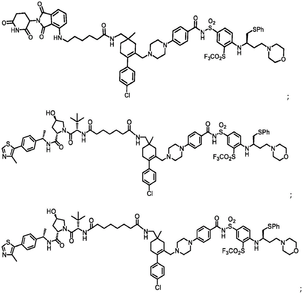 Figure BDA0003293294510000214
